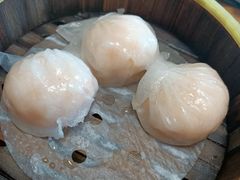 杨妈妈虾饺皇-杨妈妈粥店(滑翔路店)