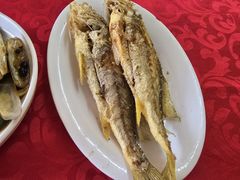 -蛇口康乐快餐鱼仔档(翠苑小区店)
