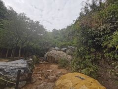 -南海湾森林生态园
