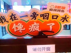 -南锣肥猫·麻辣烤鱼·15年现烤现卖(通州领展店)