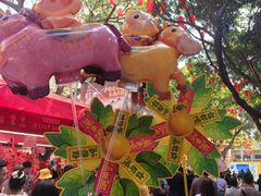 -越秀西湖花市(广州城市广场花卉店)