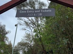 -怀托摩萤火虫洞