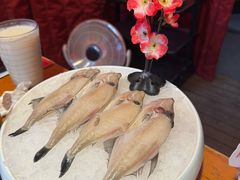 -老版火锅.12年西安排队王(沣峪口店)
