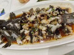 古法蒸石斑鱼-金时代顺风大酒店(金山店)