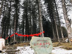 -硗碛藏寨·神木垒景区