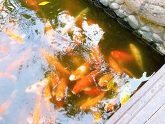 -厦门日月谷温泉渡假村