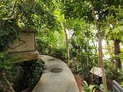 -北京植物园-展览温室