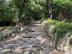 -阳台山自然风景区