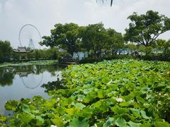 -无锡蠡湖国家湿地公园-蠡园