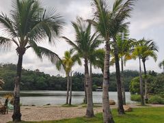 -深圳仙湖植物园