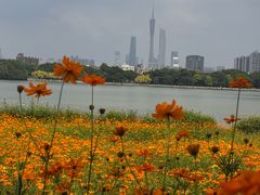 -海珠湖公园