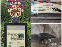 -深圳野生动物园