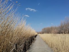 -野鸭湖国家湿地公园