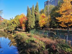 -长白岛森林公园