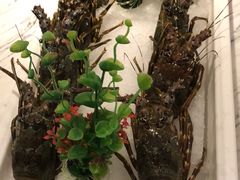 -雍和会海鲜姿造自助(湖东路店)