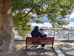 -东钱湖旅游度假区