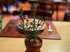 -Mammamia意大利餐厅(阳春巷店)