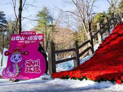 -洛阳白云山景区