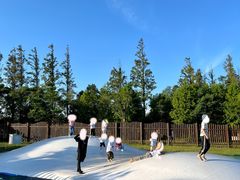 -上海长兴岛郊野公园