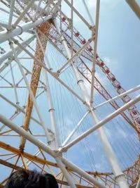 -辛玛王国游乐园