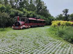 -西青郊野公园