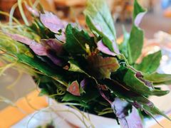 -野山舂·贵州现舂酸汤火锅(鸿通城店)