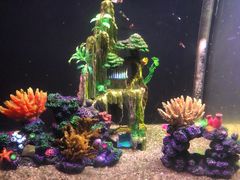 -常州海昌海洋探索馆