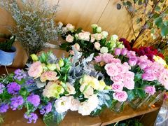 -蝶舍·MAISON PAPILLON