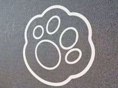-梵猫·新养生(湛江鼎盛店)