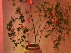 -舒小悦·舒养SPA·古法推拿(光环中心店)