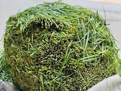 -三百碗宝应长鱼面(板仓街店)