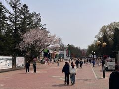 -二一九公园