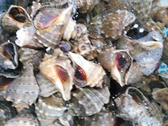 -港畔赶海蒸汽海鲜烧烤自助(仙螺岛店)