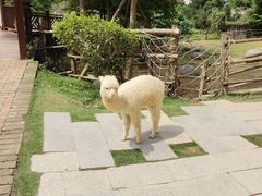 -泉州海丝野生动物世界