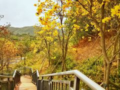 -碧桂园十里银滩