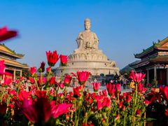 -东莞观音山旅游风景区