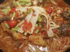 -老板恋上鱼(恒隆广场店)