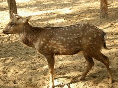 -赛汗塔拉风情园