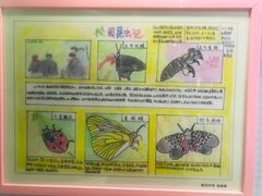 -上海昆虫博物馆