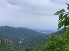 -大岭沟猕猴桃谷风景区