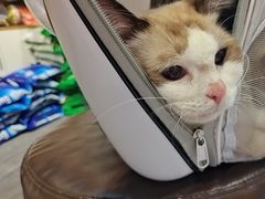 -汤姆宠物(长青北路店)