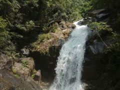 -九龙江国家森林公园