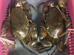 -龙海鲜螃蟹王(宏茂桥店)