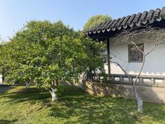 -雨花胜境