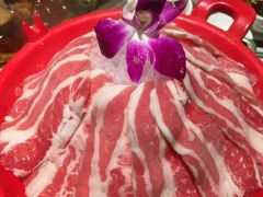 -红鼎坊·老成都火锅(新南门店)