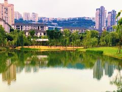 -沐仙湖湿地公园