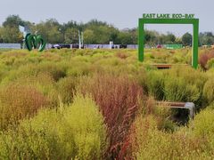 -天津东丽湖风景区