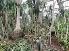 -南山植物园