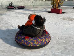 -沈阳奥体冰雪嘉年华