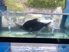 -老农民柴火灶鲜鱼馆